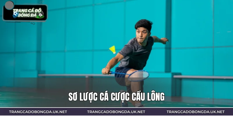 Sơ lược cá cược cầu lông