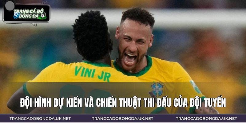 Đội hình dự kiến và chiến thuật thi đấu của đội tuyển