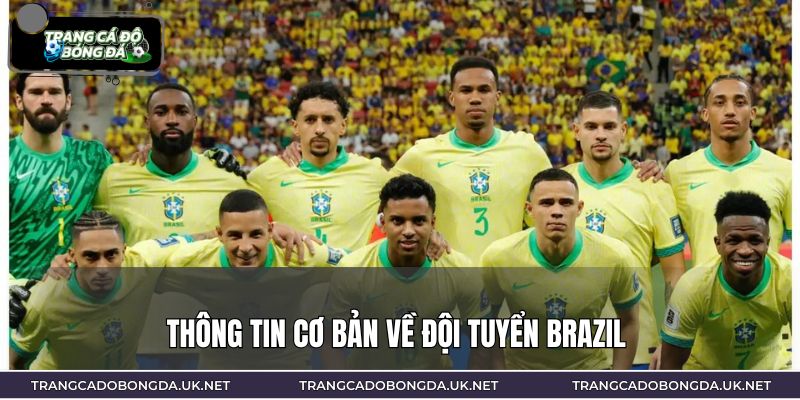 Thông tin cơ bản về đội tuyển Brazil