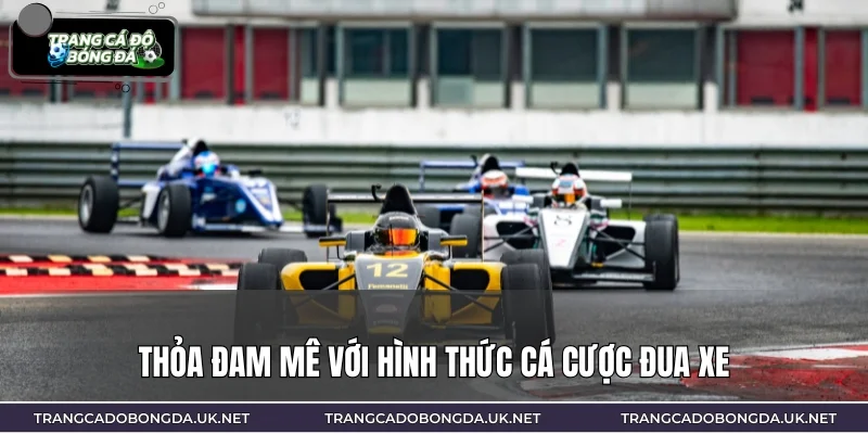 Thỏa đam mê với hình thức cá cược đua xe