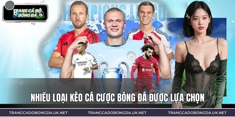 Nhiều loại kèo cá cược bóng đá được lựa chọn