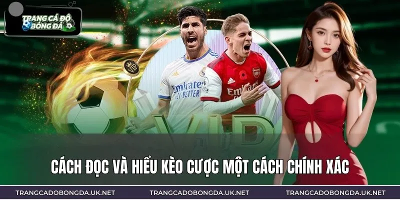Cách đọc và hiểu kèo cược một cách chính xác