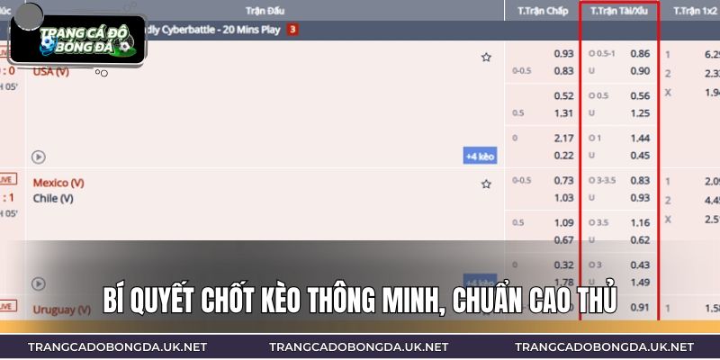 Bí quyết chốt kèo thông minh, chuẩn cao thủ