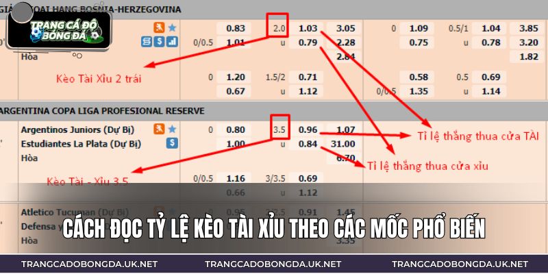 Cách đọc tỷ lệ kèo tài xỉu theo các mốc phổ biến