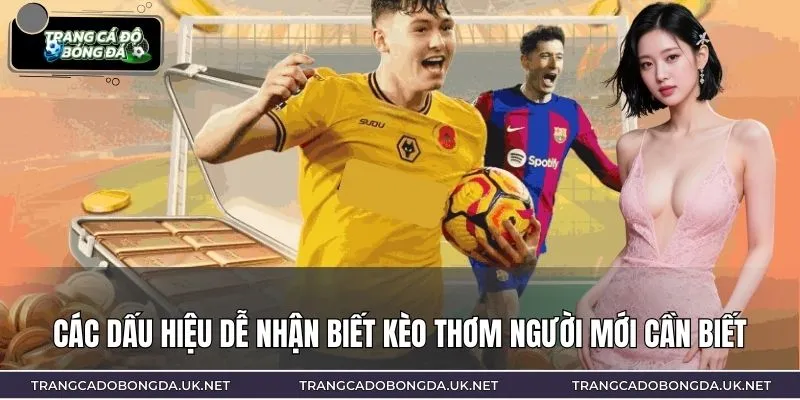 Các dấu hiệu dễ nhận biết kèo thơm người mới cần biết