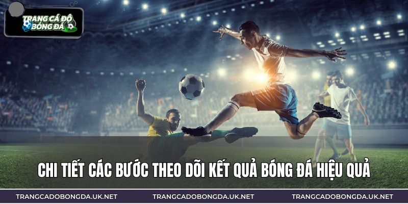 Chi tiết các bước theo dõi kết quả bóng đá hiệu quả