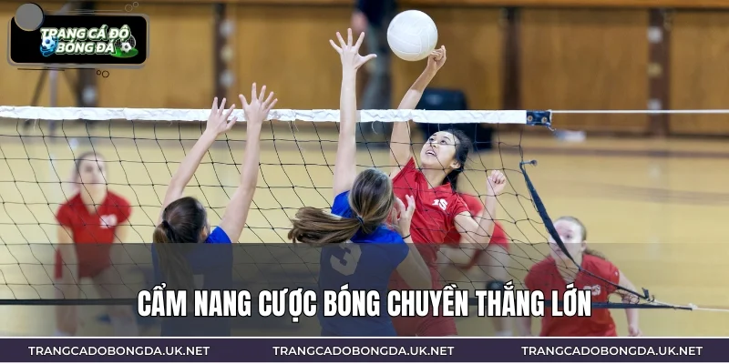 Cẩm nang cược bóng chuyền thắng lớn