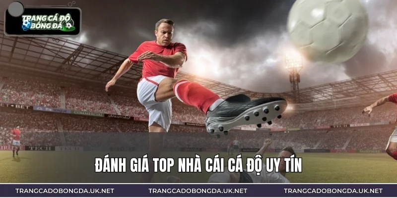 Nguyễn Đăng Khoa còn trực tiếp đánh giá các nhà cái bóng đá