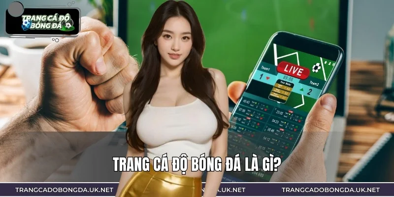 Trang cá độ bóng đá là nền tảng đặt cược trực tuyến