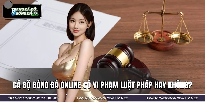 Cá độ online có vi phạm pháp luật không luôn được quan tâm