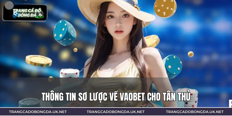 Thông tin sơ lược về VAOBET cho tân thủ