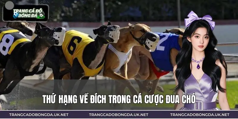 Người chơi có thể lựa chọn nhiều loại kèo