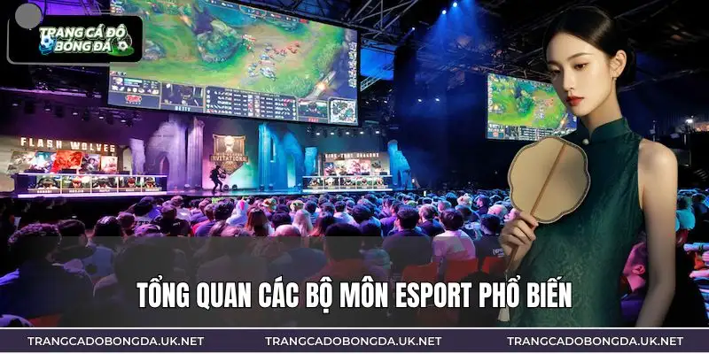 Thị trường cá cược esport phát triển mạnh nhờ cộng đồng người chơi đông đảo
