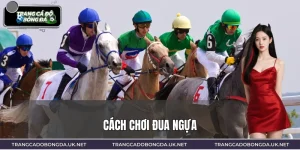 Cách Chơi Đua Ngựa – Nắm Luật Cược, Tối Ưu Tỷ Suất Thắng