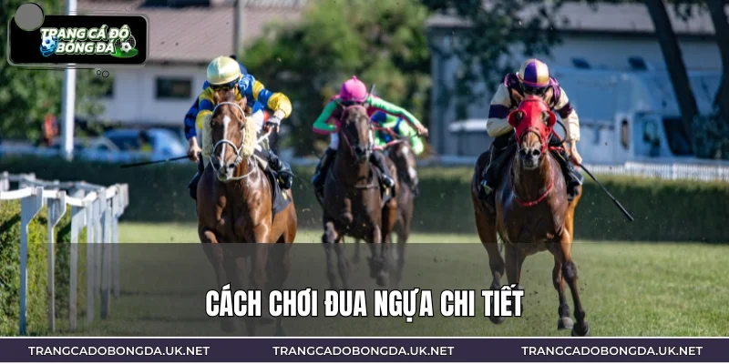 Cách chơi đua ngựa chi tiết