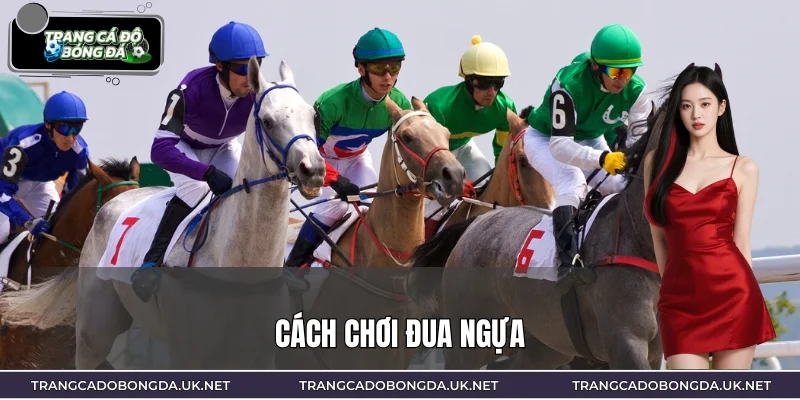 Cách Chơi Đua Ngựa – Nắm Luật Cược, Tối Ưu Tỷ Suất Thắng