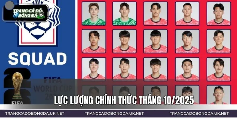 Danh sách đội tuyển Hàn Quốc gồm những cầu thủ xuất sắc