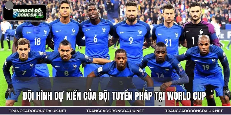 Hệ thống nhân sự dự kiến được tung vào sân