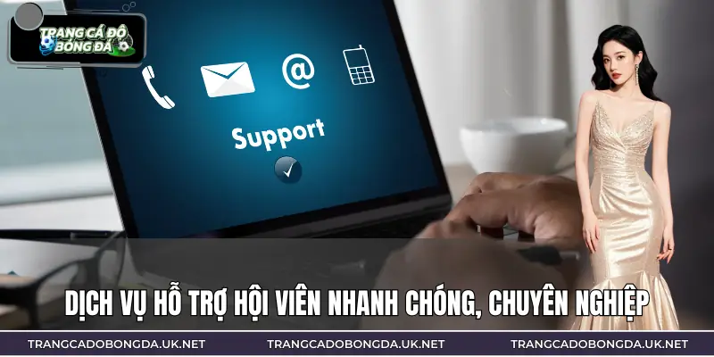 Nhà cái hoạt động liên tục, giải đáp nhanh và rõ ràng